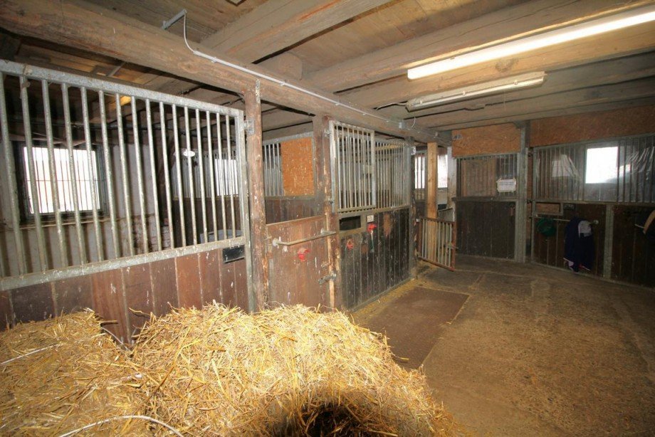 Bild... Reiterh�fe Waake