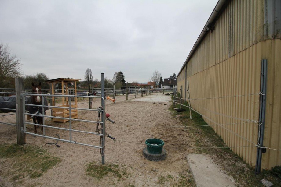 Bild... Reiterh�fe Waake