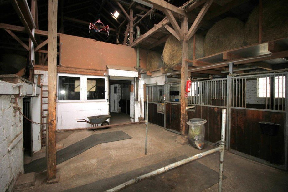 Bild... Reiterh�fe Waake