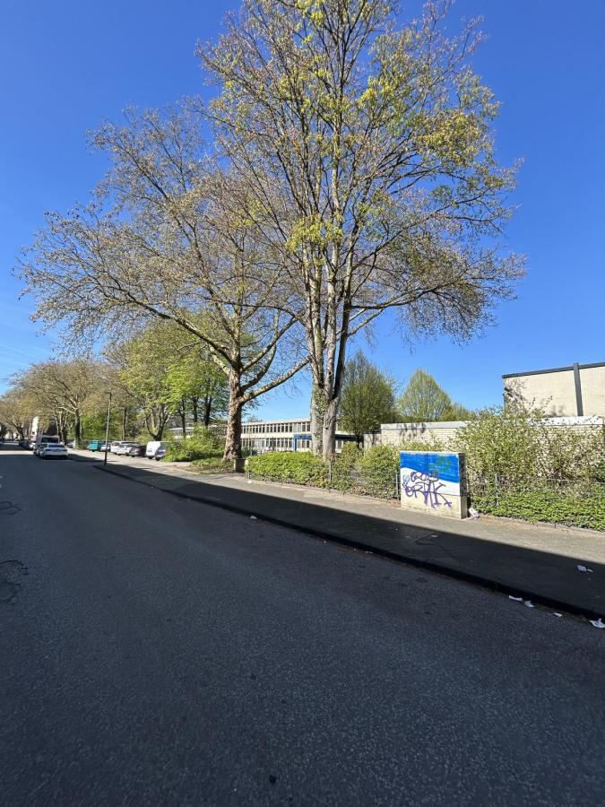 Bild... Etagenwohnung Gelsenkirchen